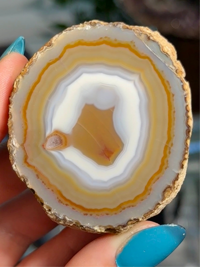 Moctezuma Agate