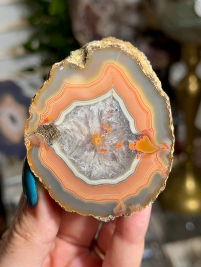 Moctezuma Agate