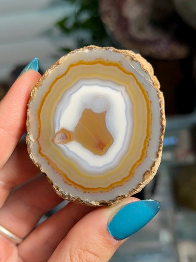 Moctezuma Agate
