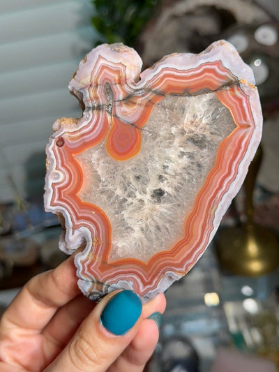 Laguna Agate Slice