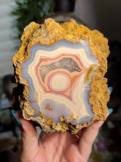 Statement Moctezuma Agate