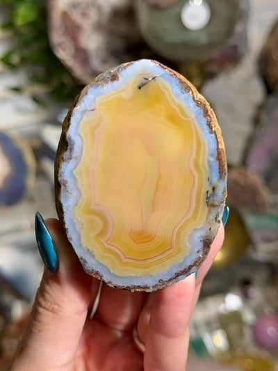 Moctezuma Agate