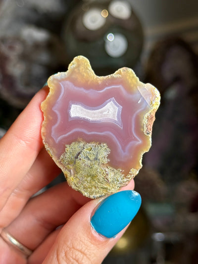 Coyamito Agate