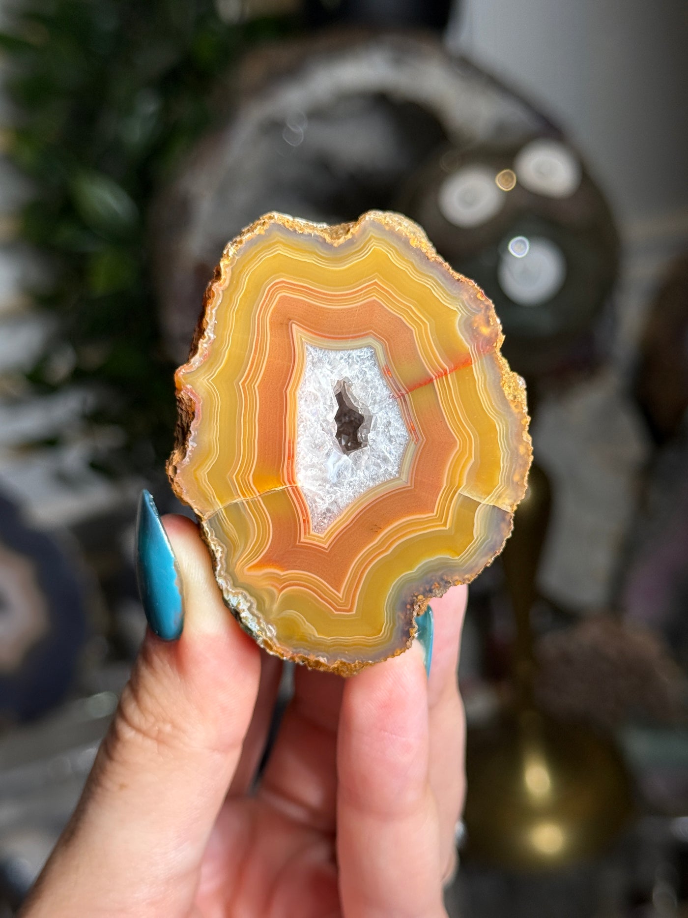 Moctezuma Agate