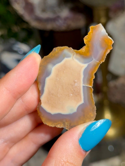 Coyamito Agate