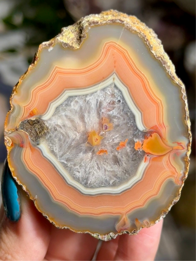 Moctezuma Agate