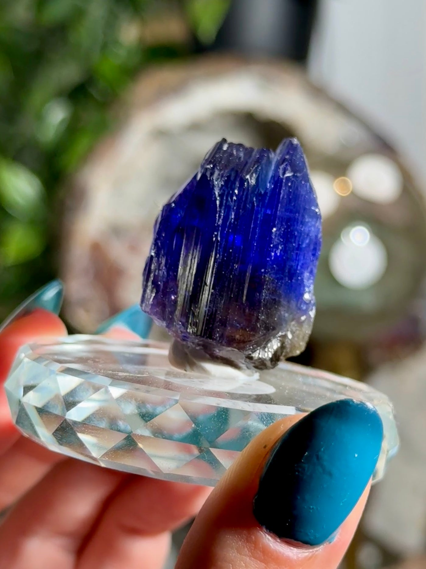 Tanzanite