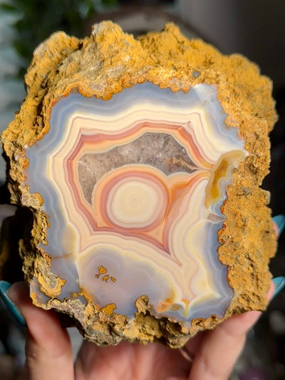Statement Moctezuma Agate