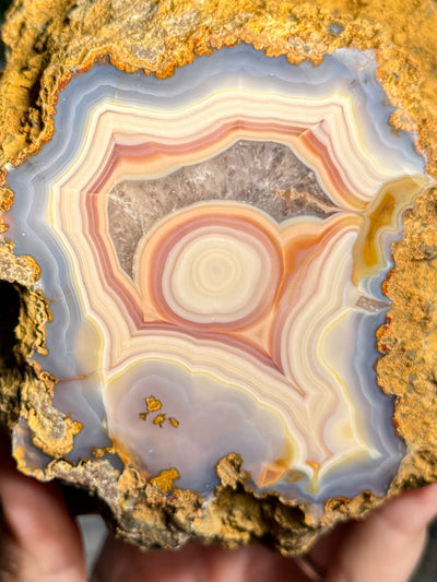 Statement Moctezuma Agate