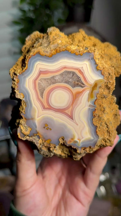 Statement Moctezuma Agate