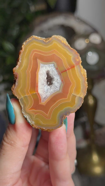 Moctezuma Agate
