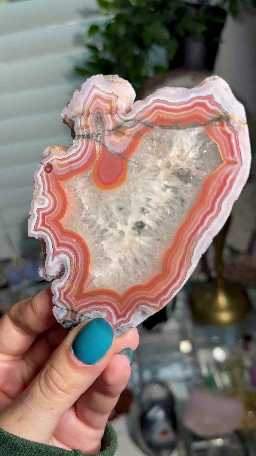 Laguna Agate Slice